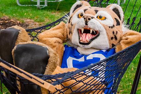 Bobcat mascot in a hammock